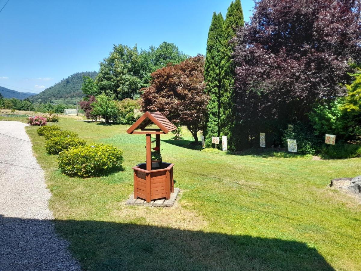 Chalet De Grettery Saulxures-sur-Moselotte Buitenkant foto