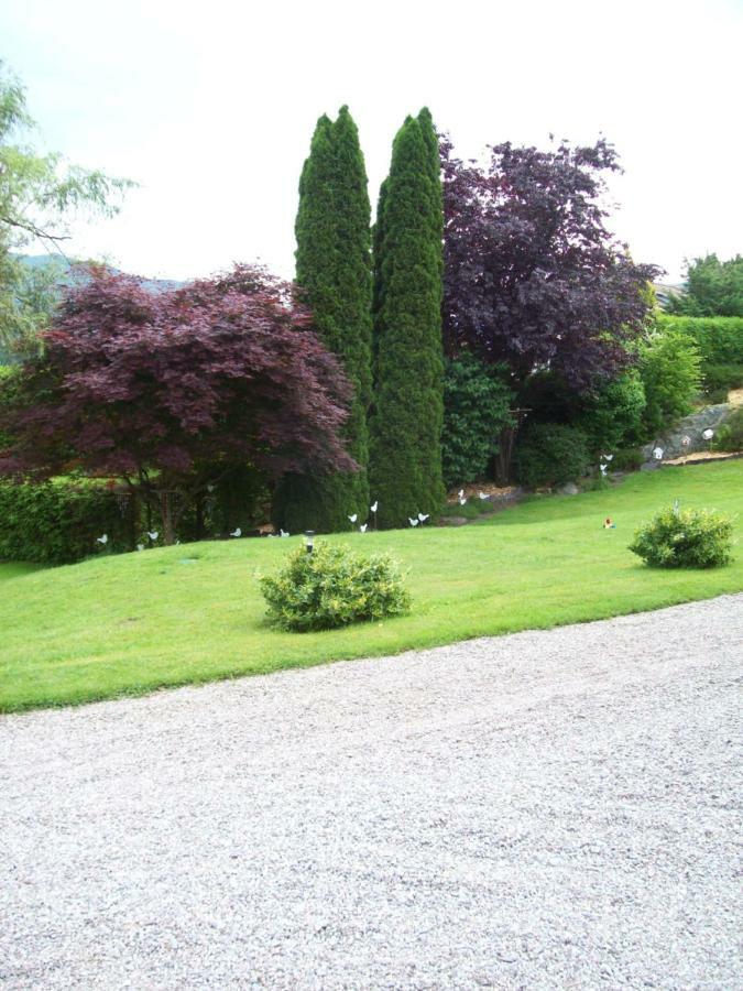 Chalet De Grettery Saulxures-sur-Moselotte Buitenkant foto